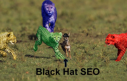 Black Hat SEO deer running from Google leopards